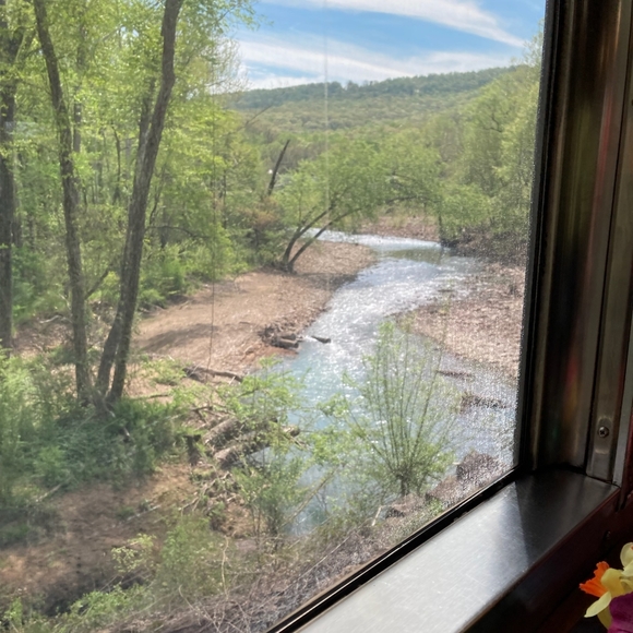 Meet your Posher, Elaine - Picture 4 of 8